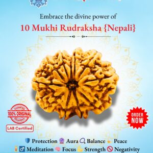 10 Mukhi Rudraksh